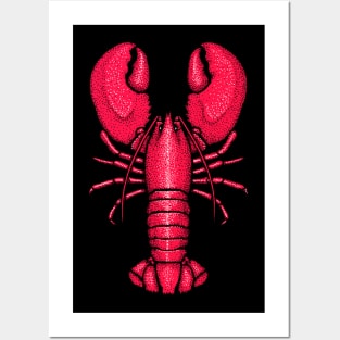 Giant Red Lobster Posters and Art